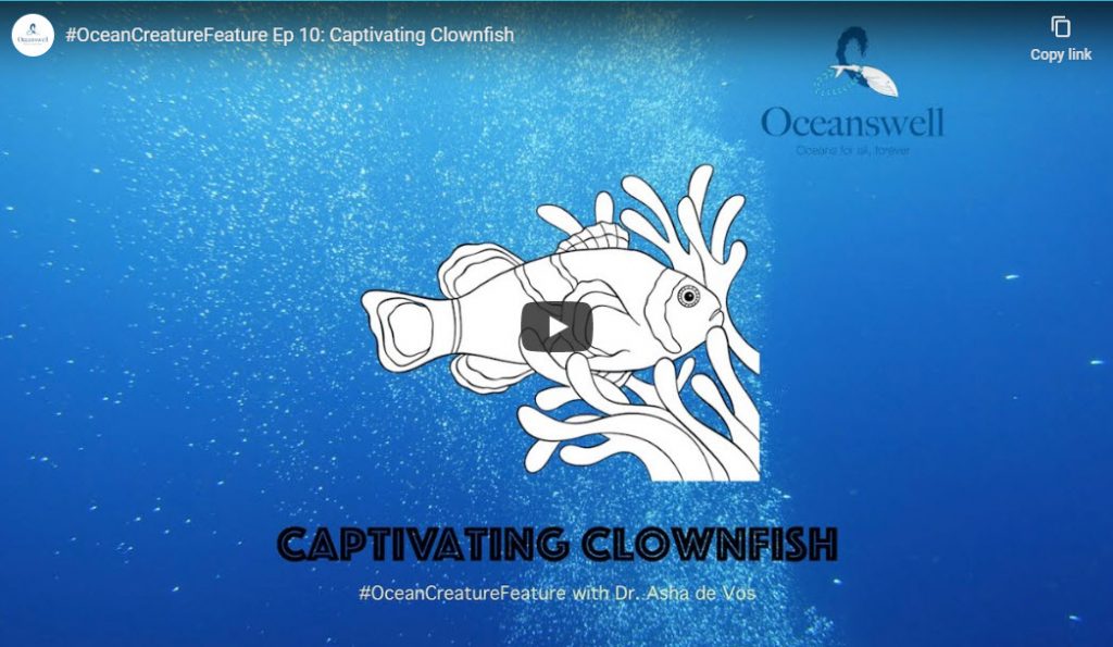 Episode 10: Captivating Clownfish 1