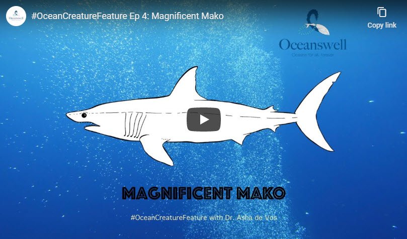 Episode 4: Magnificent Mako 7