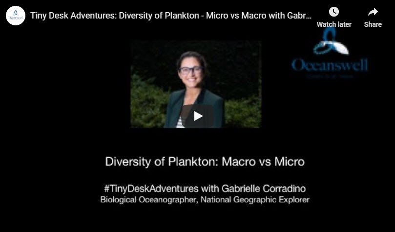 Episode 1: Diversity of Plankton 9