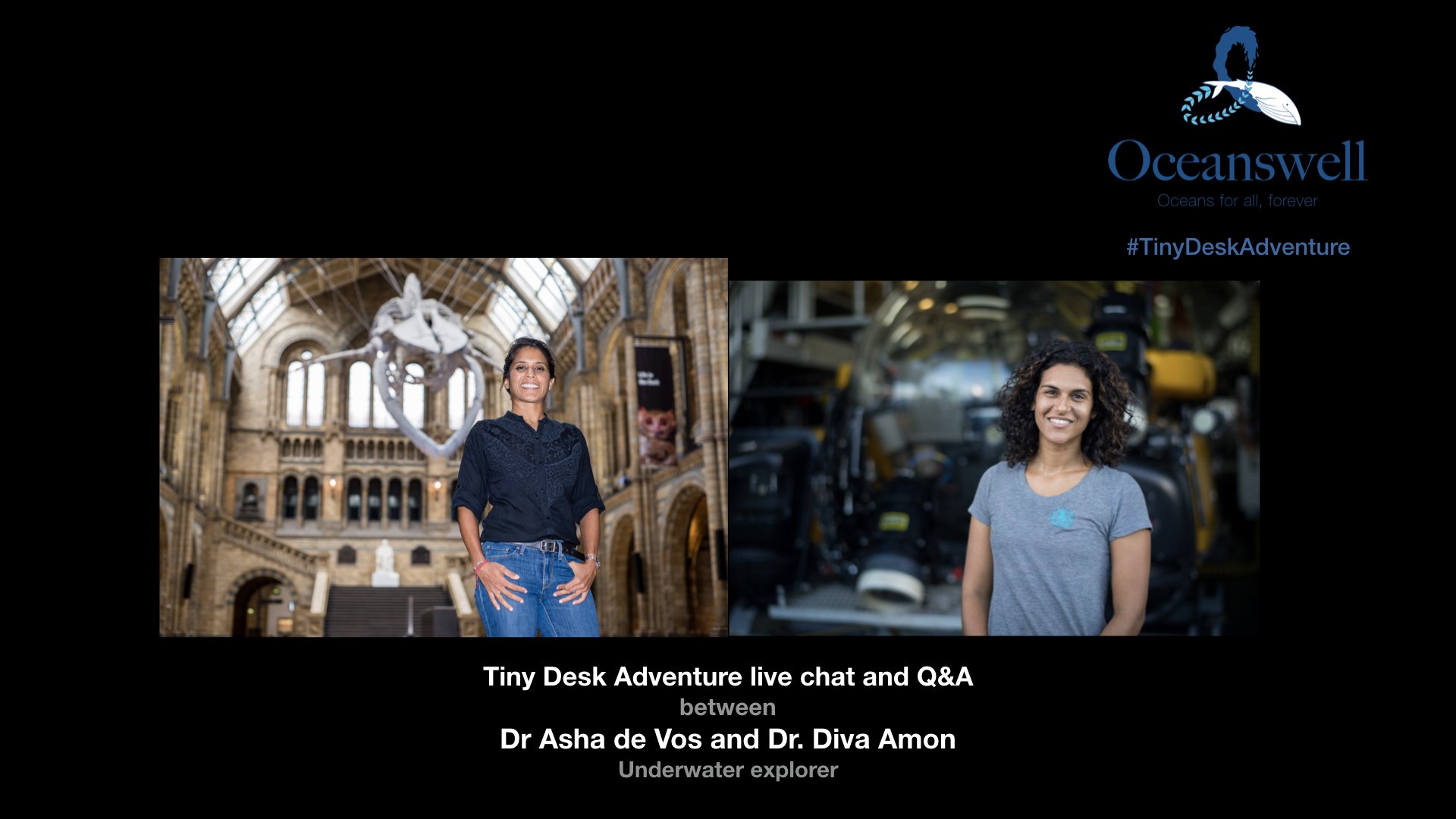 TINY DESK ADVENTURES INSTAGRAM LIVE Q&A WITH DR ASHA DE VOS AND DR DIVA AMON 1