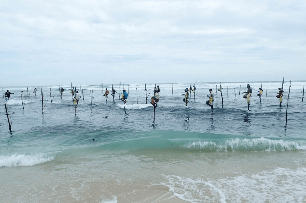 Sri Lanka Stilt Fisherman