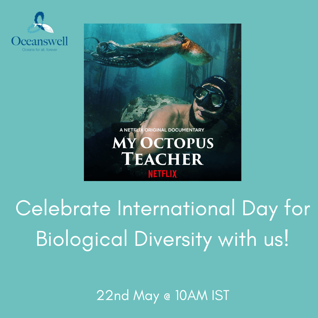 Watch 'My Octopus Teacher' for International Day for Biological Diversity 1