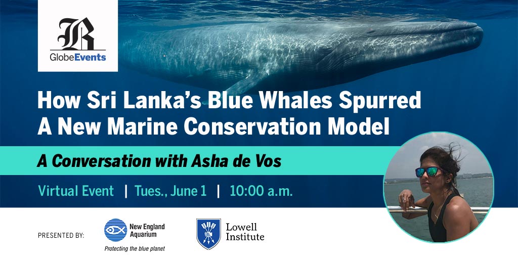 How Sri Lanka’s blue whales spurred a new marine conservation model: a conversation with Asha de Vos 1