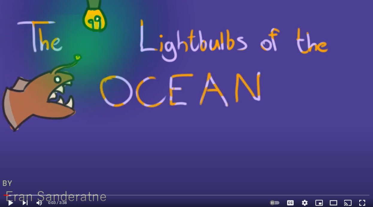 Episode 1: The Lightbulbs of the Ocean by Eran Sanderatne 1